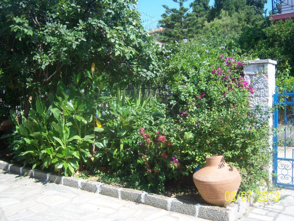 Smile Stella Studios Skopelos Town Phòng bức ảnh