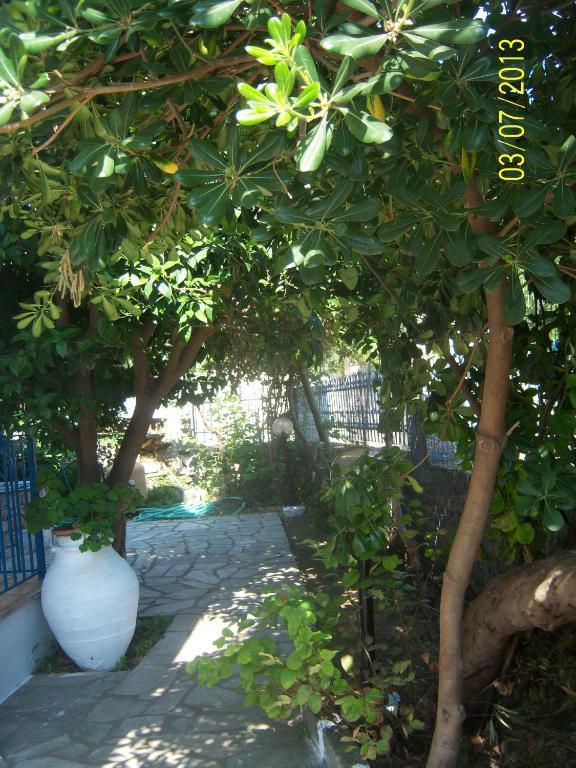Smile Stella Studios Skopelos Town Phòng bức ảnh